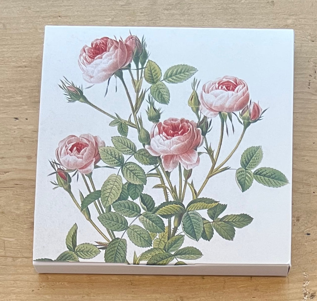 Roses - 8 Notecards