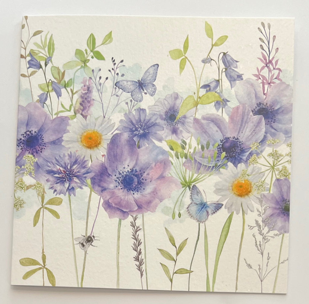Cornflowers