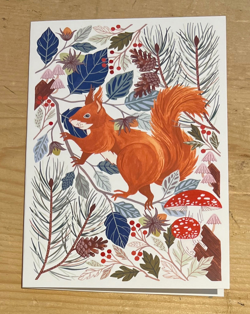 Red Squirrel