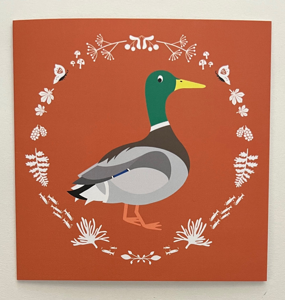 Duck