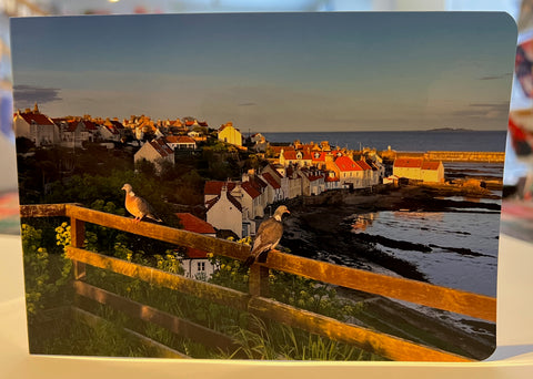 Watching over Pittenweem