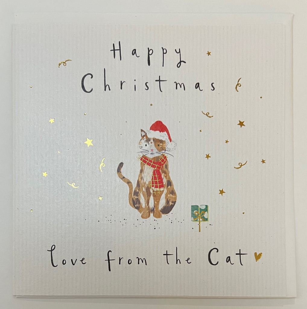 From the Cat