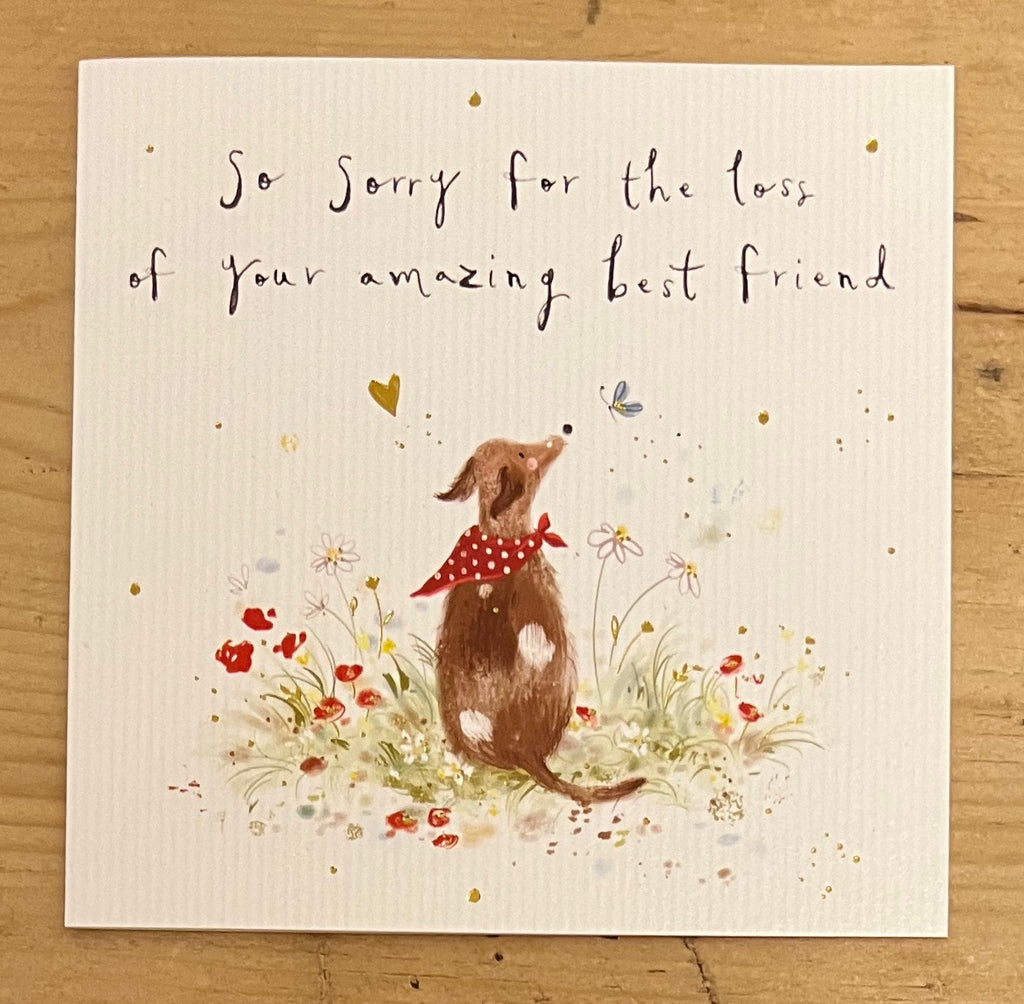 Sympathy Dog