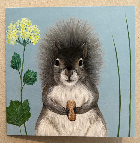 Grey Squirrel