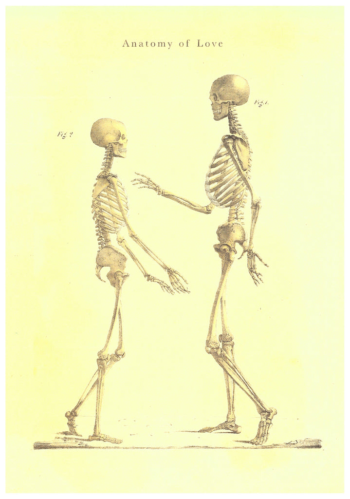 Anatomy of Love