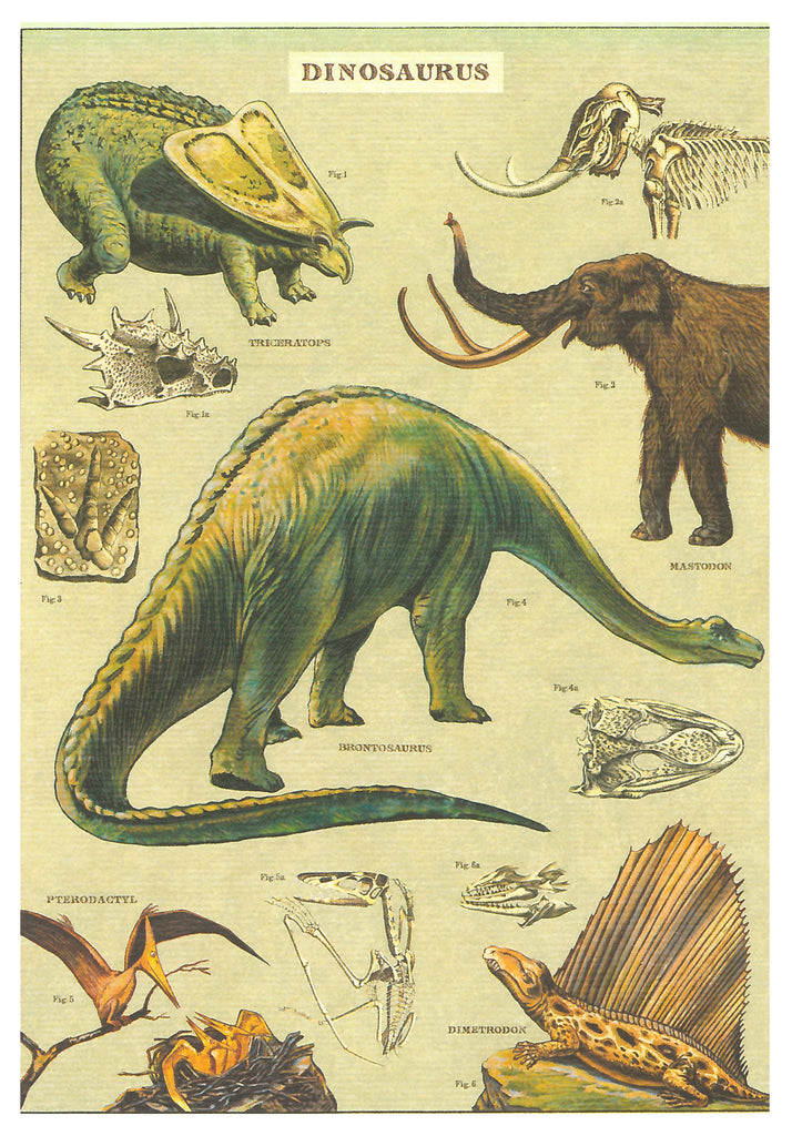 Dinosaurus