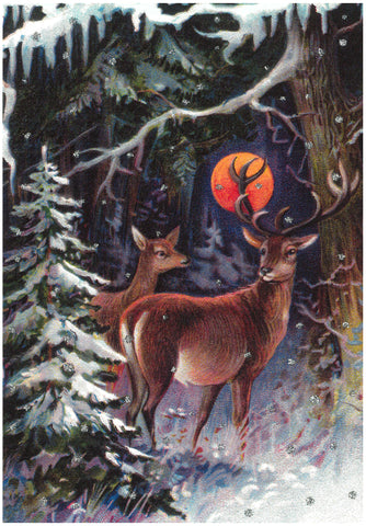 Winter NIght