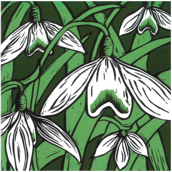 Snowdrops