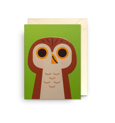 Pygmy-Owl