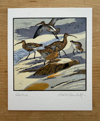 Curlews