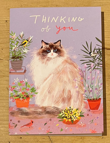 Thinking of you - Cat