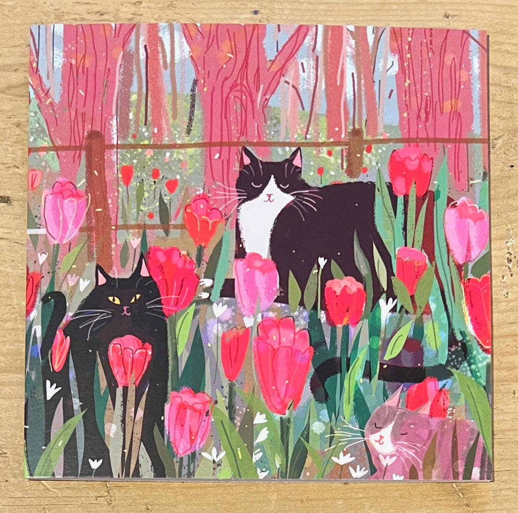 Cats among the Tulips