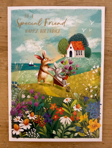 Special Friend
