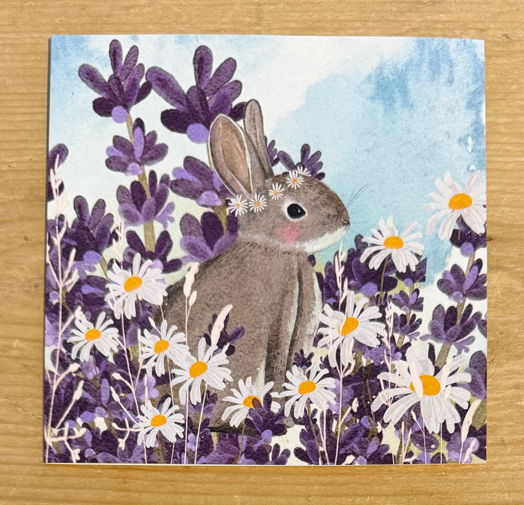 Bunny
