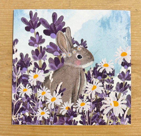 Bunny