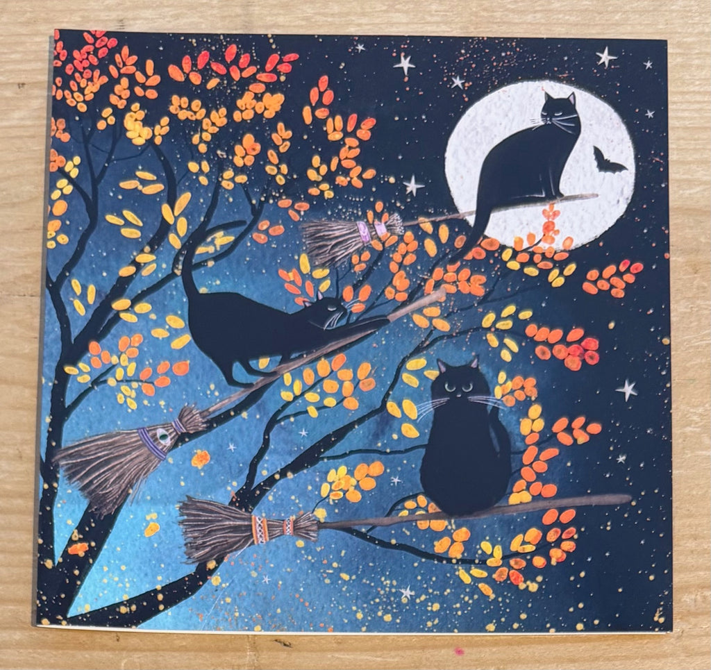 Cats & Broomsticks