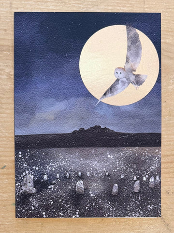 Owl over the Moon