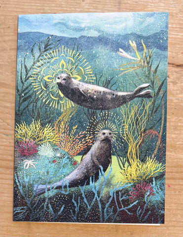Seals - Under the Sea