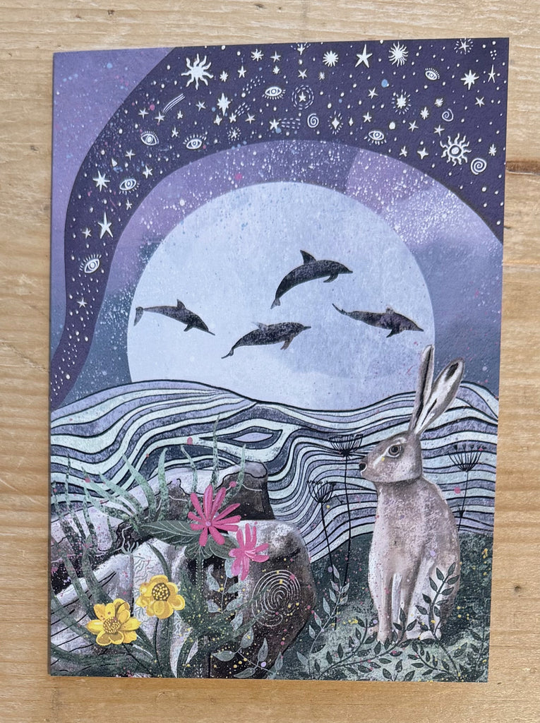 Dolphins & Hare