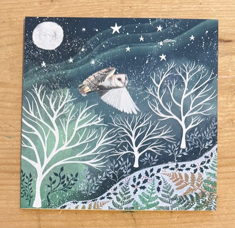 Owl in the Trees