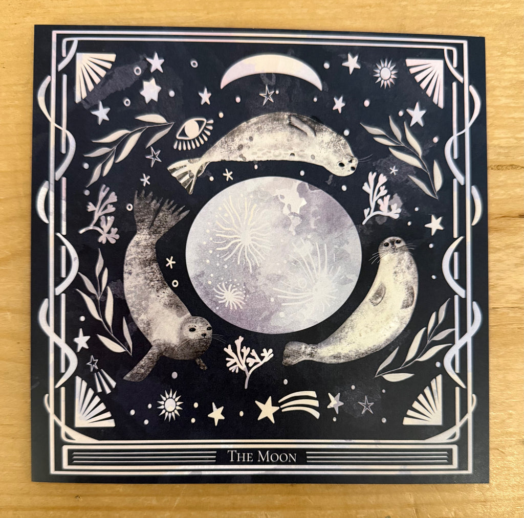 Moon & Seals