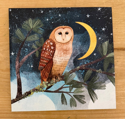 Owl & Crescent Moon