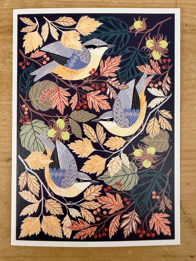 Nuthatch