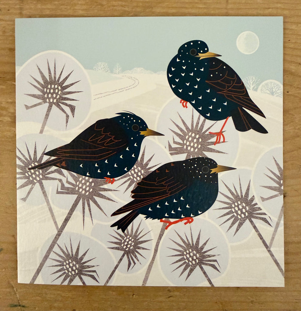 Starlings, Frosty Thistles