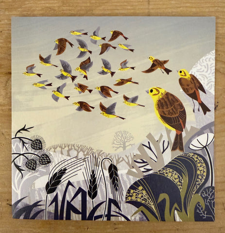 Yellowhammer Flock