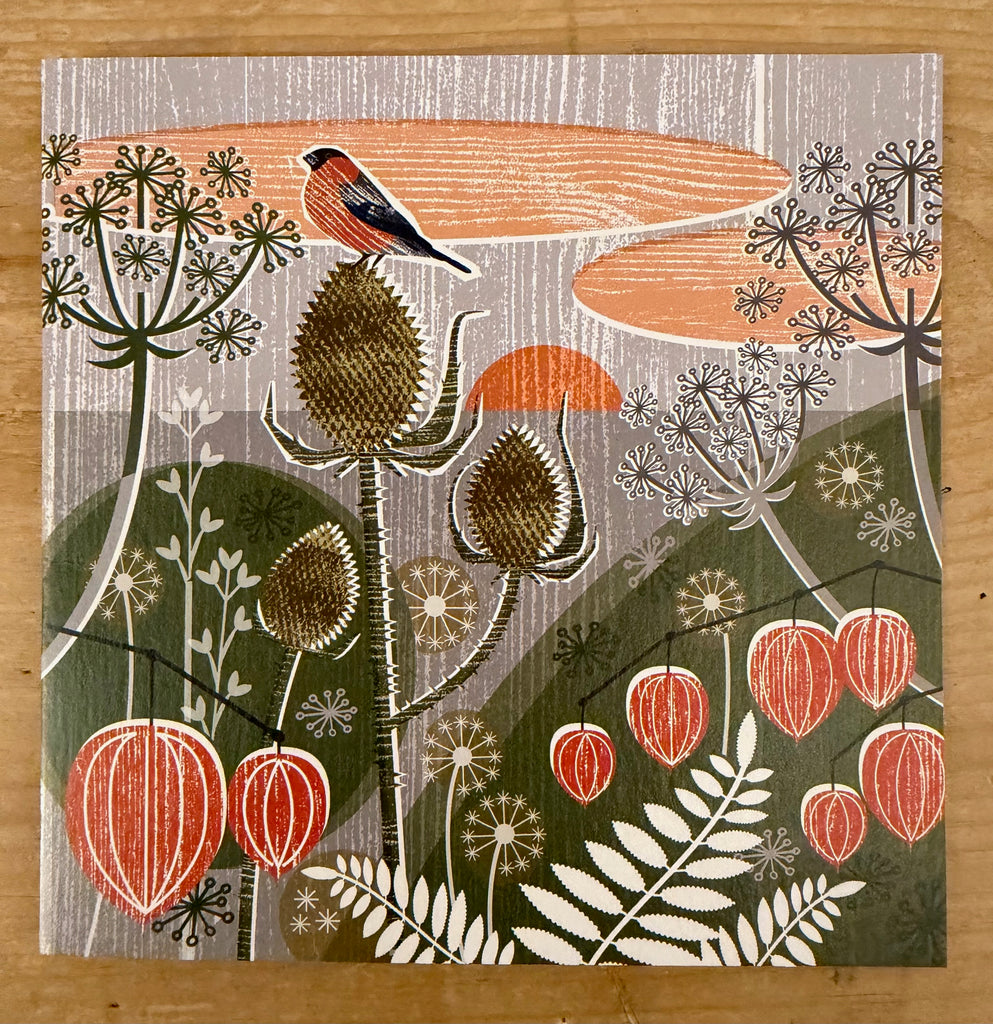 Seedheads and Bullfinch