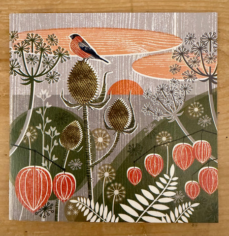 Seedheads and Bullfinch