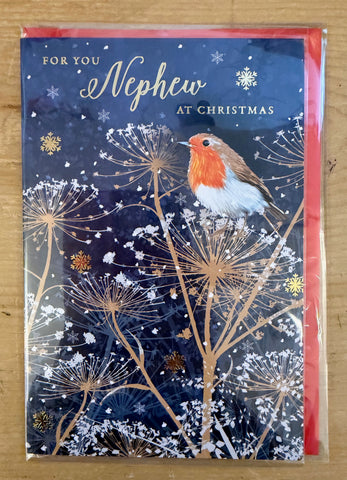 Nephew - Christmas Robin