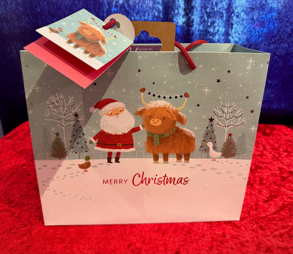 Cute Santa & Rudolf Gift Bag