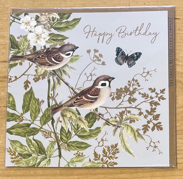 Butterflies