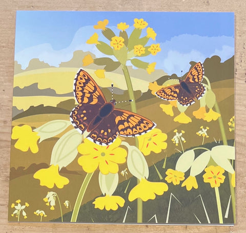 Cowslips and Duke of Burgundy Butterflies
