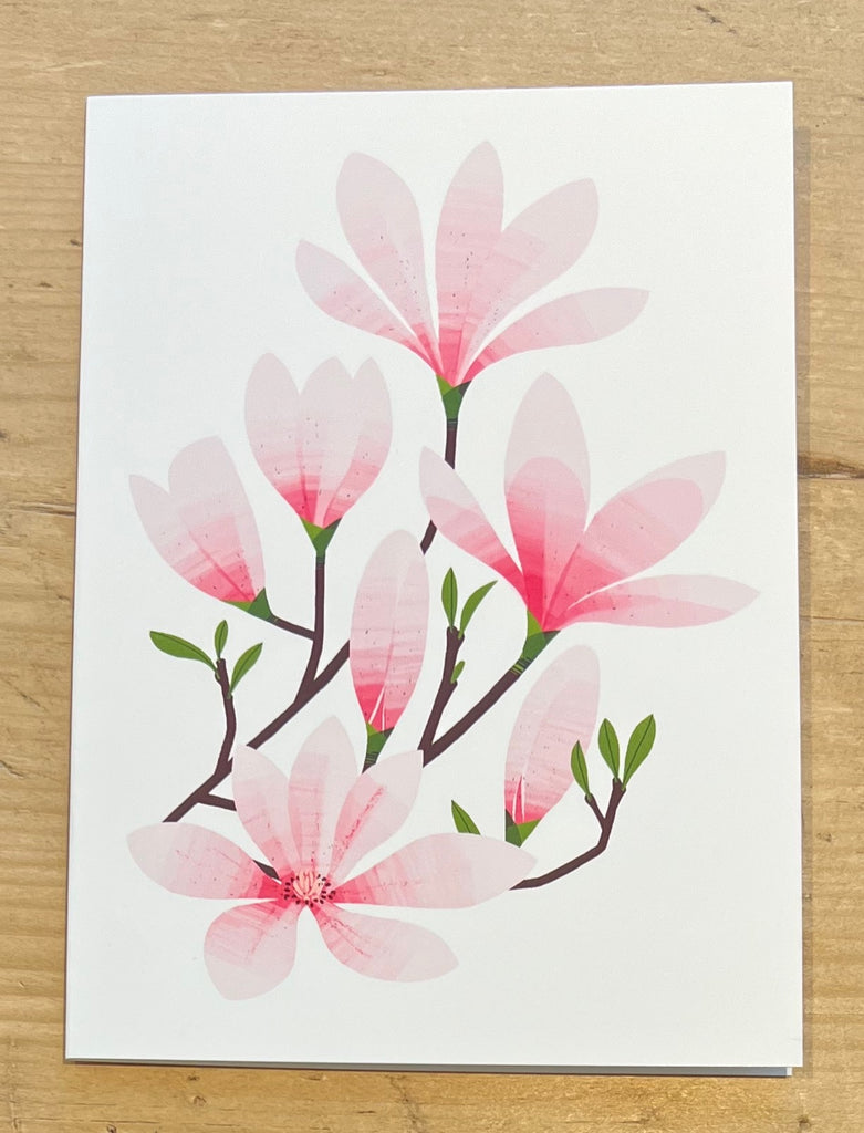 Magnolia