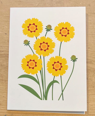 Coreopsis