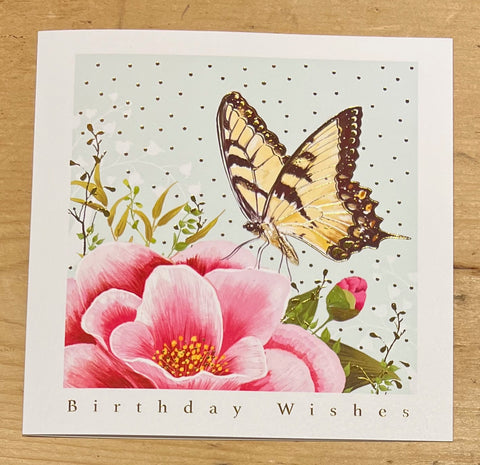 Birthday Wishes