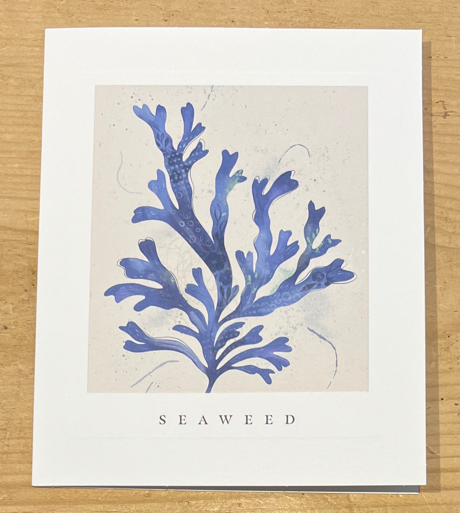 Seaweed