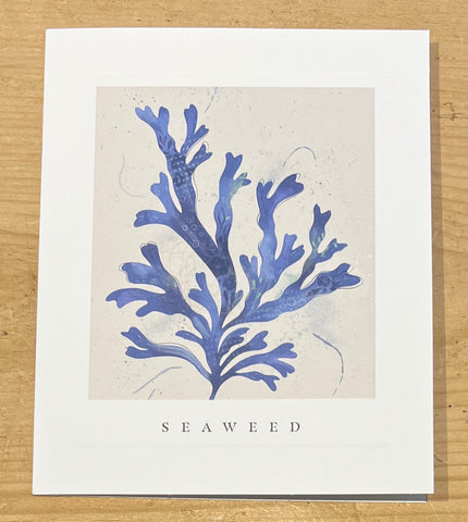 Seaweed