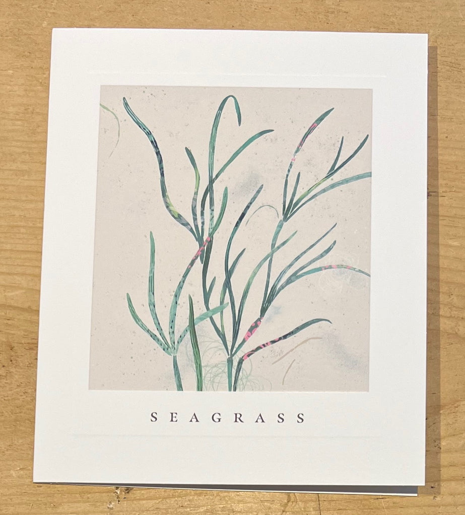 Seagrass