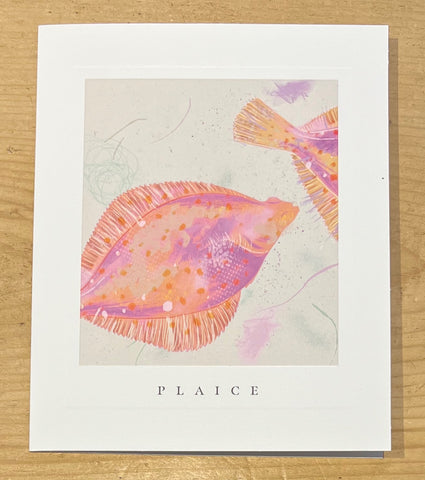 Plaice