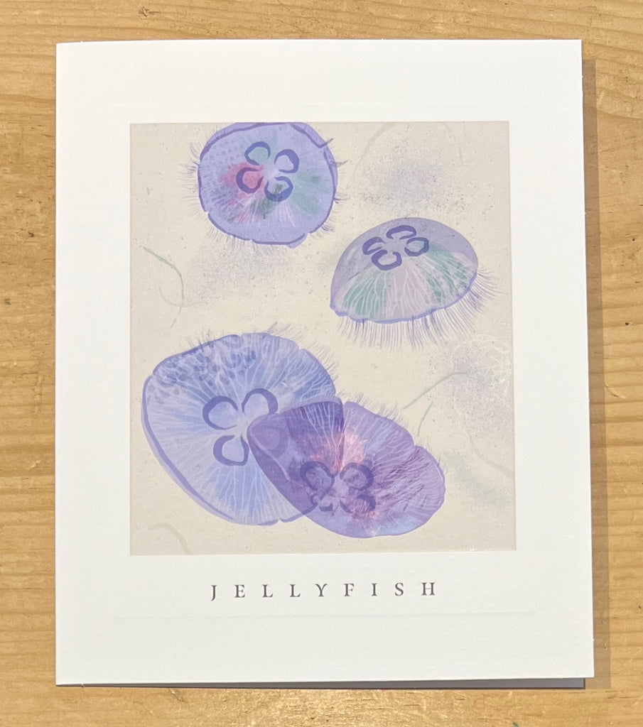 Jellyfish