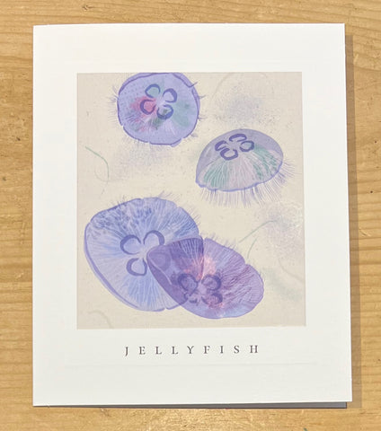 Jellyfish