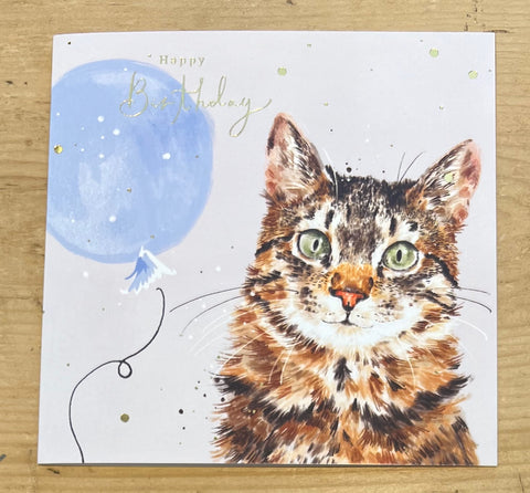 Tabby Cat