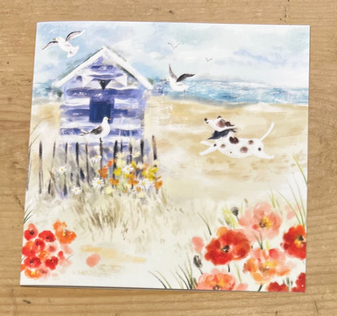 Beach Hut