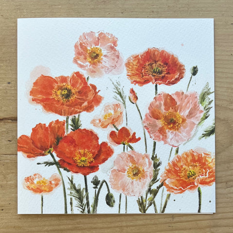 Poppies