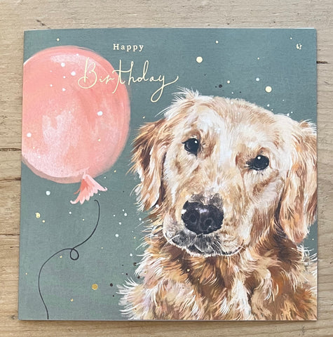 Golden Retriever - Birthday