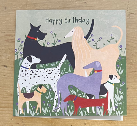 Birthday Dogs