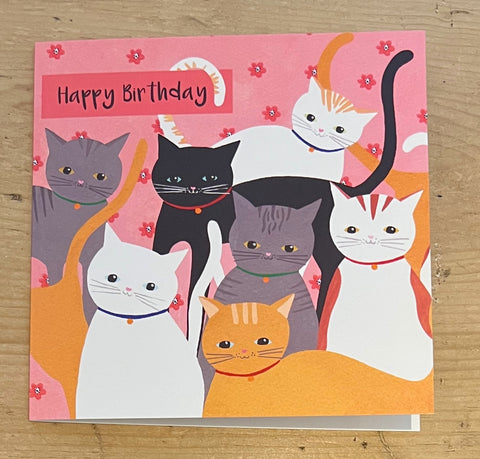 Birthday Cats